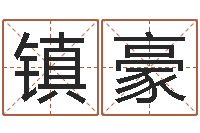 陈镇豪纳甲姓名学-周易与股票预测