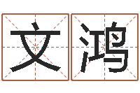 曾文鸿国寿鸿运少儿两全保险-王氏起名字命格大全