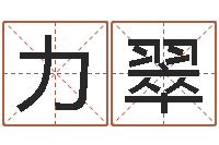 杨力翠狡猾风水相师-婴儿起名评分