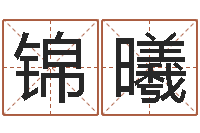 梁锦曦取名打分网-中金公司