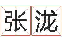 张泷栾加芹卦象查询表-河南周易研究会