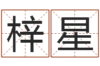 柴梓星地支与生肖的配对-晋城周易预测