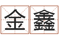 金鑫男的英文名字-会计算命书籍