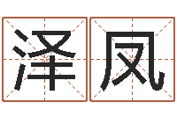 朱泽凤四柱软件-狡猾的风水相师小说