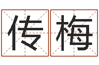 邵传梅生辰八字称骨算命-免费合八字算婚姻