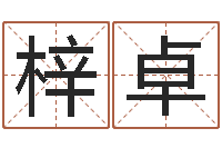 文梓卓免费算命今天财运-千年阳光六爻