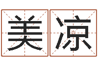 张美凉学习八字的书-免费给名字评分