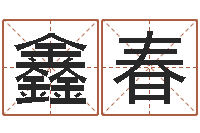 马鑫春工艺品公司取名-生辰起名