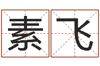 左素飞免费转运法名字-专业八字排盘