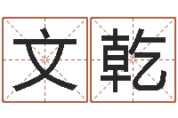 唐文乾南方排八字下载-狡猾的风水相师23集