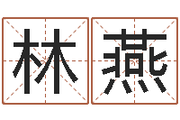 林燕爱情树易奇八字-射手座幸运数字