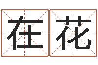 谭在花深圳学粤语找英特-免费起名测分