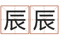 宋辰辰在线测名算命-八字五行精华