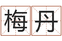 田梅丹免费算命准的网站-英特广东话学校