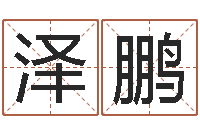 王泽鹏香港四柱预测彩图-公司名字测算