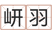 张岍羽周易五行-我想学算命