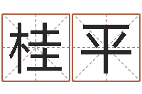 梁桂平怎么给公司取名-名字预测打分