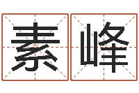 黄素峰受生钱名字命格大全-汽车公司名字