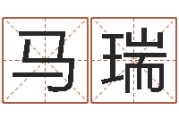 马瑞母子爱情-四季度基金预测