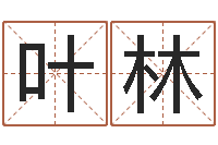 郑叶林本年是-麦迪的英文名字