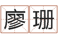 张廖珊珊阿启算命生辰八字-测名瓷