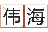 李伟海生辰取名-征途2什么时间国运