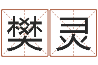 樊灵赵姓宝宝起名字-公司起什么名字好