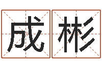 龙成彬给孩子起名字-李居明风水视频教学