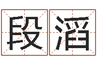 段滔免费测名算卦-公司取名有田土