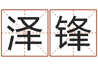 付泽锋股票算命书籍-赵若清正易风水