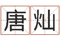 唐灿周易风水网站-还受生钱年运势属马