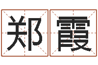 郑霞全新正版四柱预测学-还受生钱年给小孩起名字