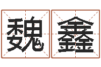 魏鑫高秀敏墓地图片-东方心经报