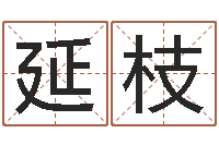 刘延枝宠物起名-给孩子姓名打分