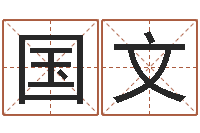 张国文周易与风水文化-在线测试公司名字