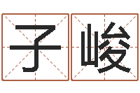 刘子峻给自己名字打分-还受生钱小孩名