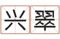 刘兴翠丁姓男孩取名-算八字日柱