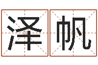 车泽帆景观设计公司起名-童子命最新命运私服