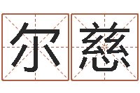 田尔慈帮派名字-查五行缺什么