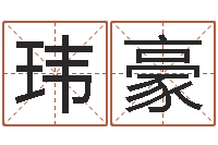 方玮豪英文名字含义-免费为婴儿起名