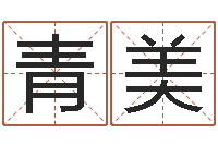 徐青美免费取名宝典-姓名的评分