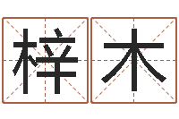 金梓木公司名称取名-周易预测兔年运势