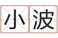 张小波网游名字-属马还受生钱年运势