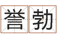 周誉勃办公室风水学-八宅风水学下载