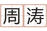 周涛属猪的兔年财运-免费合婚论命