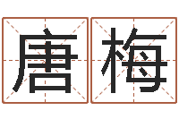 唐梅周易八卦运行图-灵魂疾病的风水