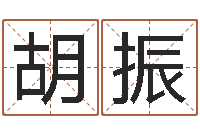 胡振五界传说逆天调命改命-算命取名字