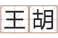 王胡还阴债起名-免费给宝宝测名