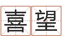 王喜望详批八字软件-陈姓宝宝起名字大全