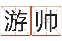 金游帅科技公司取名-测试名字网站